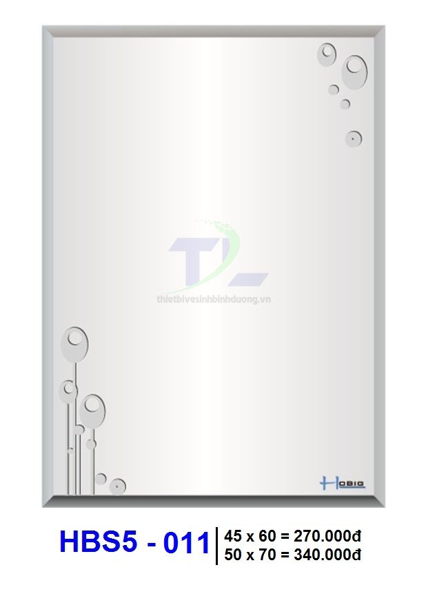 Gương soi phòng tắm HOBIG HBS5-011